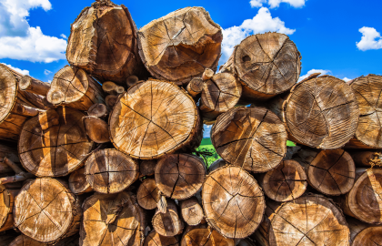 Article – Biomass is an renewable source of energy